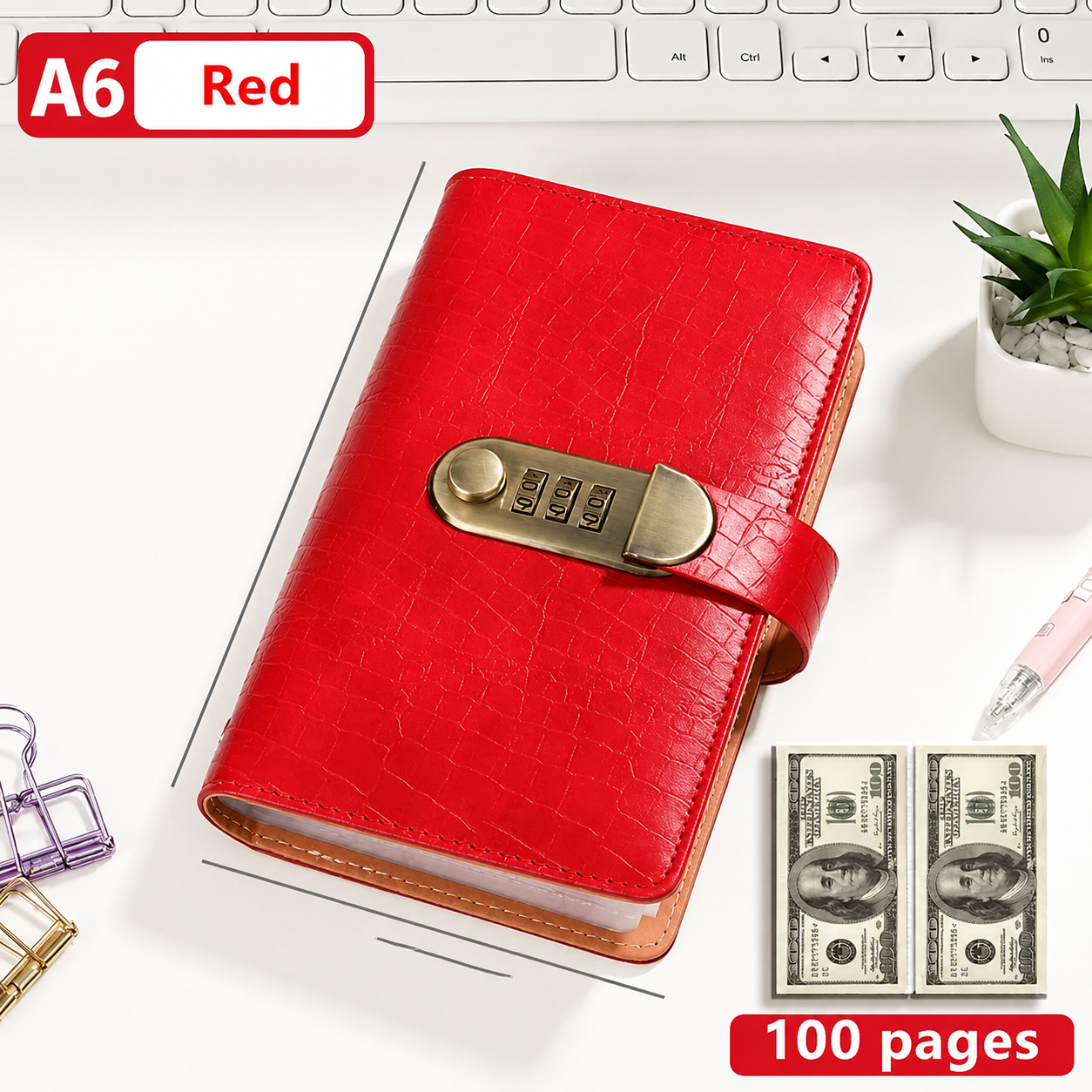 π100 Transparent Pocket Currency Collectors Album