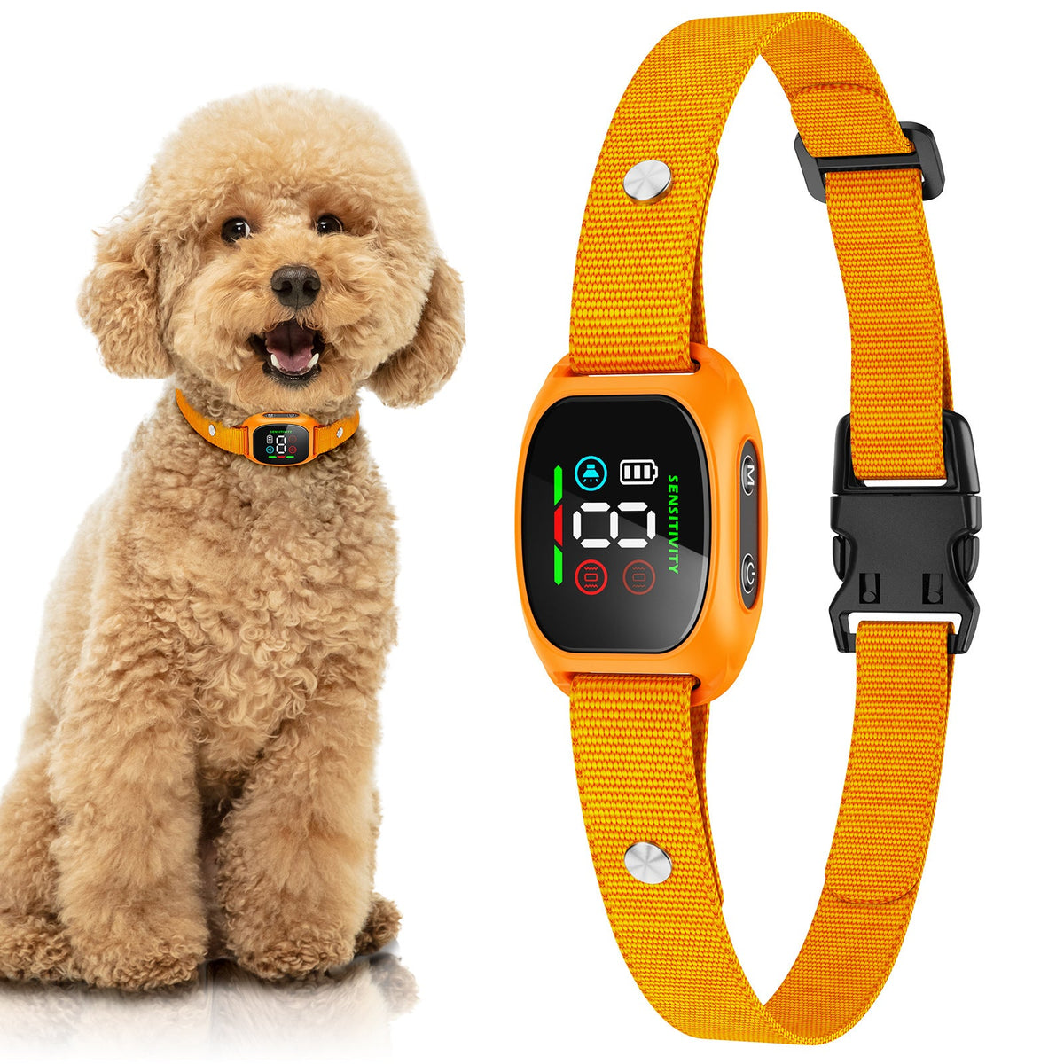 🛡️🐾 50% OFF! Anti Bark Collar – Smart anti‑false triggering filters out other barks. IP67 waterproof & USB rechargeable – worry‑free training anywhere! 💦✅