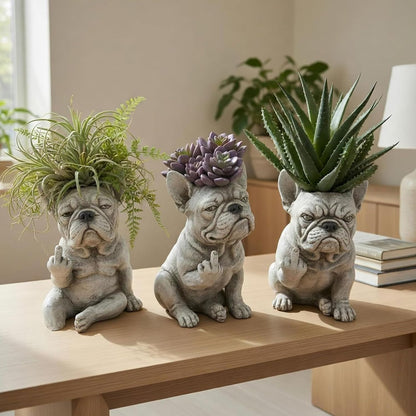 The Grumpiest Planter You’ll Ever Love 😤🐶