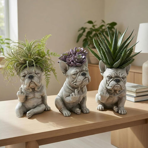 The Grumpiest Planter You’ll Ever Love 😤🐶