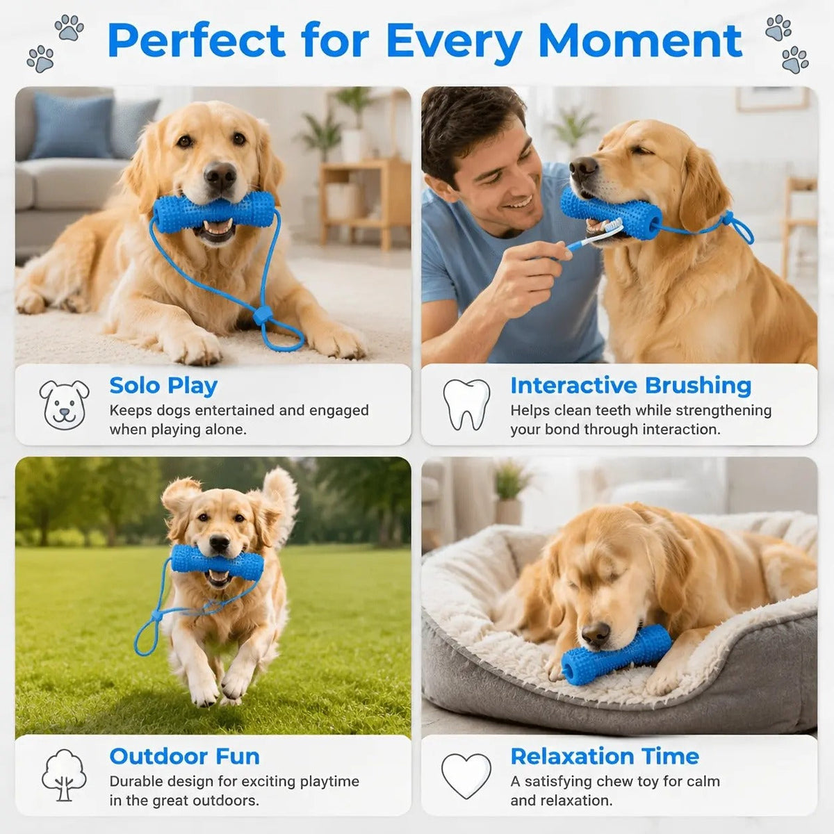 🐶 2-in-1 Dog Dental Chew Toy & Brushing Helper – Easier Daily Teeth Cleaning