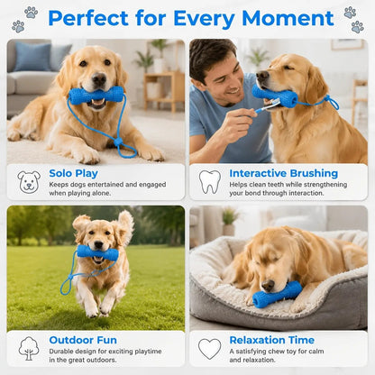 🐶 2-in-1 Dog Dental Chew Toy & Brushing Helper – Easier Daily Teeth Cleaning