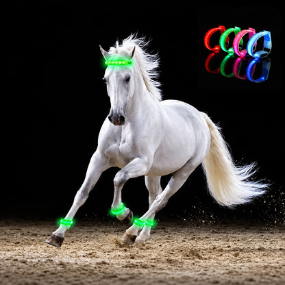 🐎 Horse LED Leg Straps – 4 Pack | Rechargeable Night Riding Safety Lights | Adjustable Velcro Fit for Horses of All Sizes ✨