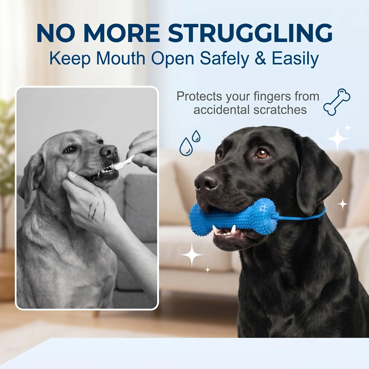 🐶 2-in-1 Dog Dental Chew Toy & Brushing Helper – Easier Daily Teeth Cleaning