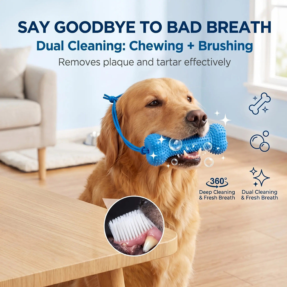 🐶 2-in-1 Dog Dental Chew Toy & Brushing Helper – Easier Daily Teeth Cleaning