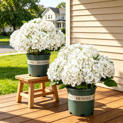 Last Day 50% OFF📣 Artificial Hydrangeas Flowers – UV-Resistant, Waterproof, Windproof