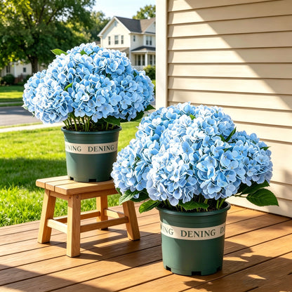 Last Day 50% OFF📣 Artificial Hydrangeas Flowers – UV-Resistant, Waterproof, Windproof
