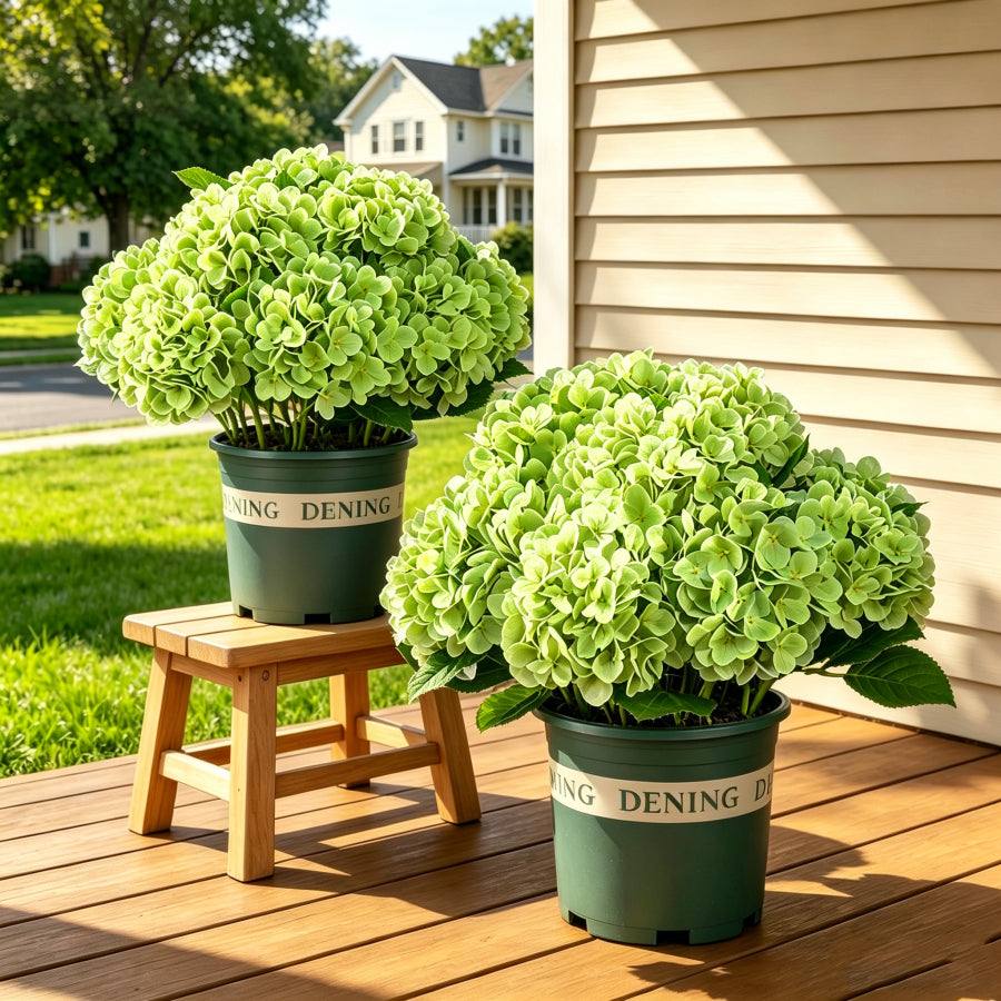 Last Day 50% OFF📣 Artificial Hydrangeas Flowers – UV-Resistant, Waterproof, Windproof