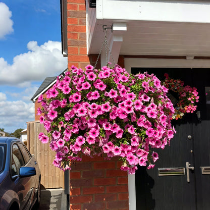 🏆2026 Super Value Set🔥UV Resistant Artificial Petunias Flowers