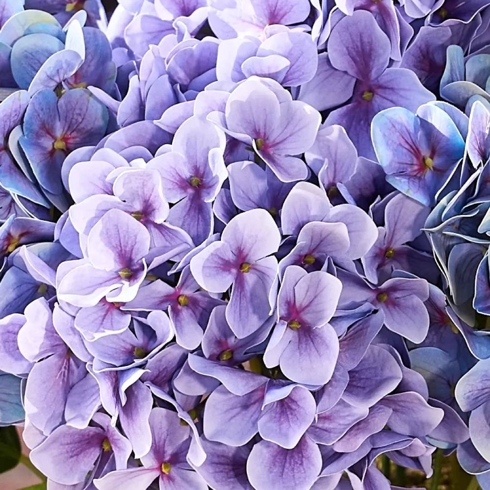 Last Day 50% OFF📣 Artificial Hydrangeas Flowers – UV-Resistant, Waterproof, Windproof