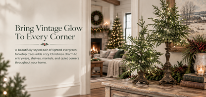 Vintage Lighted Norfolk Pine Trees
