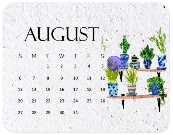 ✨🏆Early Holiday Sale 49% OFF🌱Eco-Friendly Plantable “Timeless” Seed Calendar 2027
