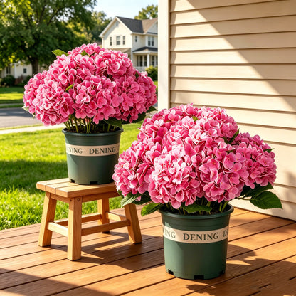 Last Day 50% OFF📣 Artificial Hydrangeas Flowers – UV-Resistant, Waterproof, Windproof