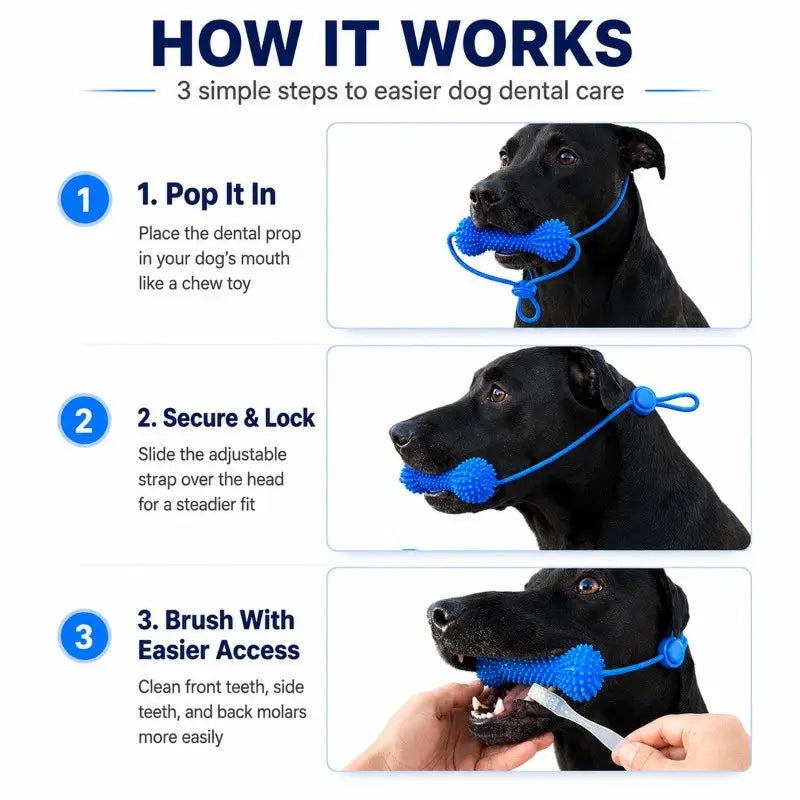 🐶 2-in-1 Dog Dental Chew Toy & Brushing Helper – Easier Daily Teeth Cleaning