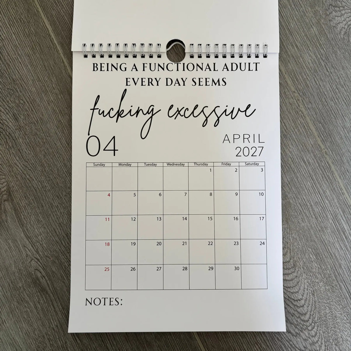 Fuck It Calendar 2027, Funny Sweary Wall Calendar