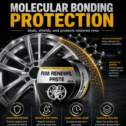All-in-One Wheel Care & Restoration Paste