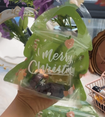 🎄Christmas Treat Bags, Kids Xmas Sealable Bags With Handle 10 PCS❄️