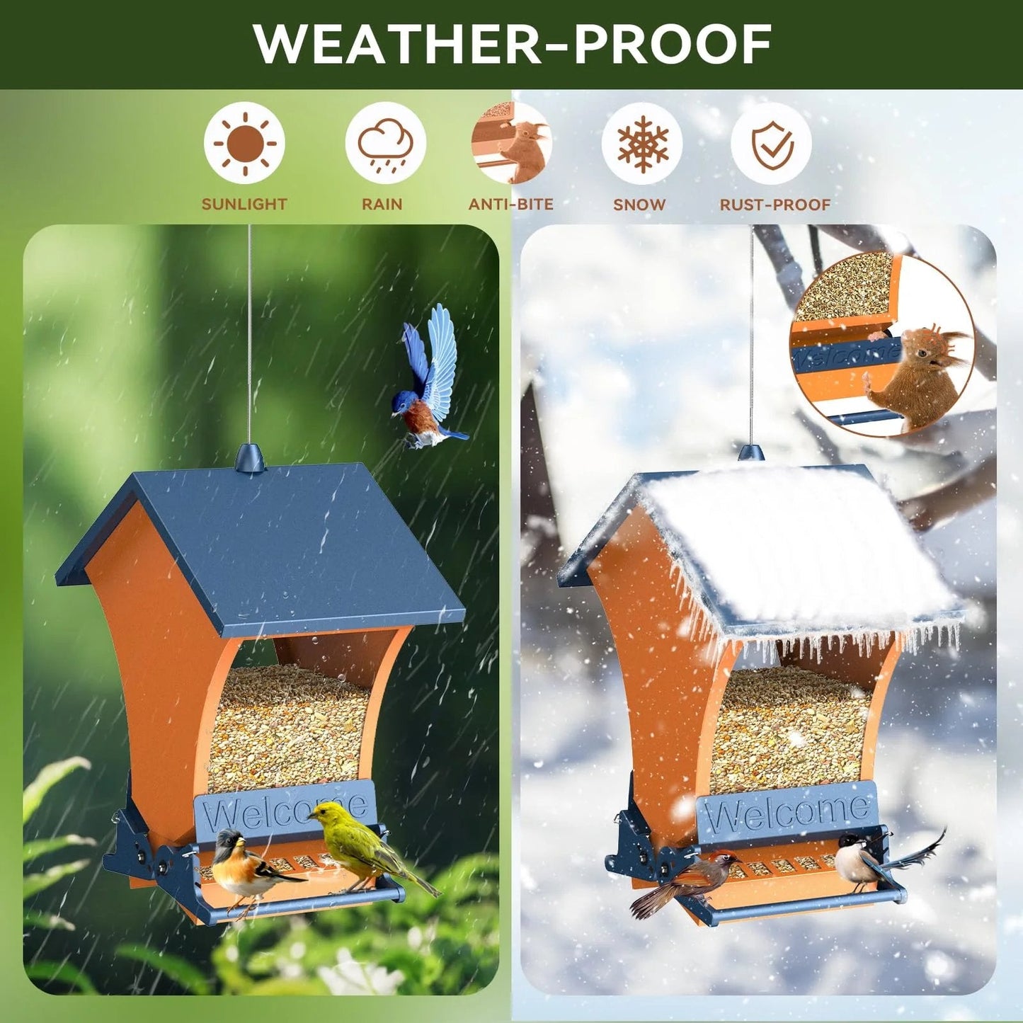 🐦 Squirrel Proof Bird Feeder – Outdoor Bird House for Garden Bird Watching & Yard Decoration