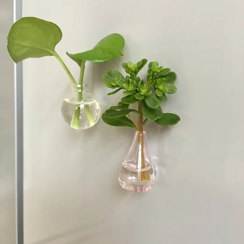 Transparent mini magnetic vases with greenery