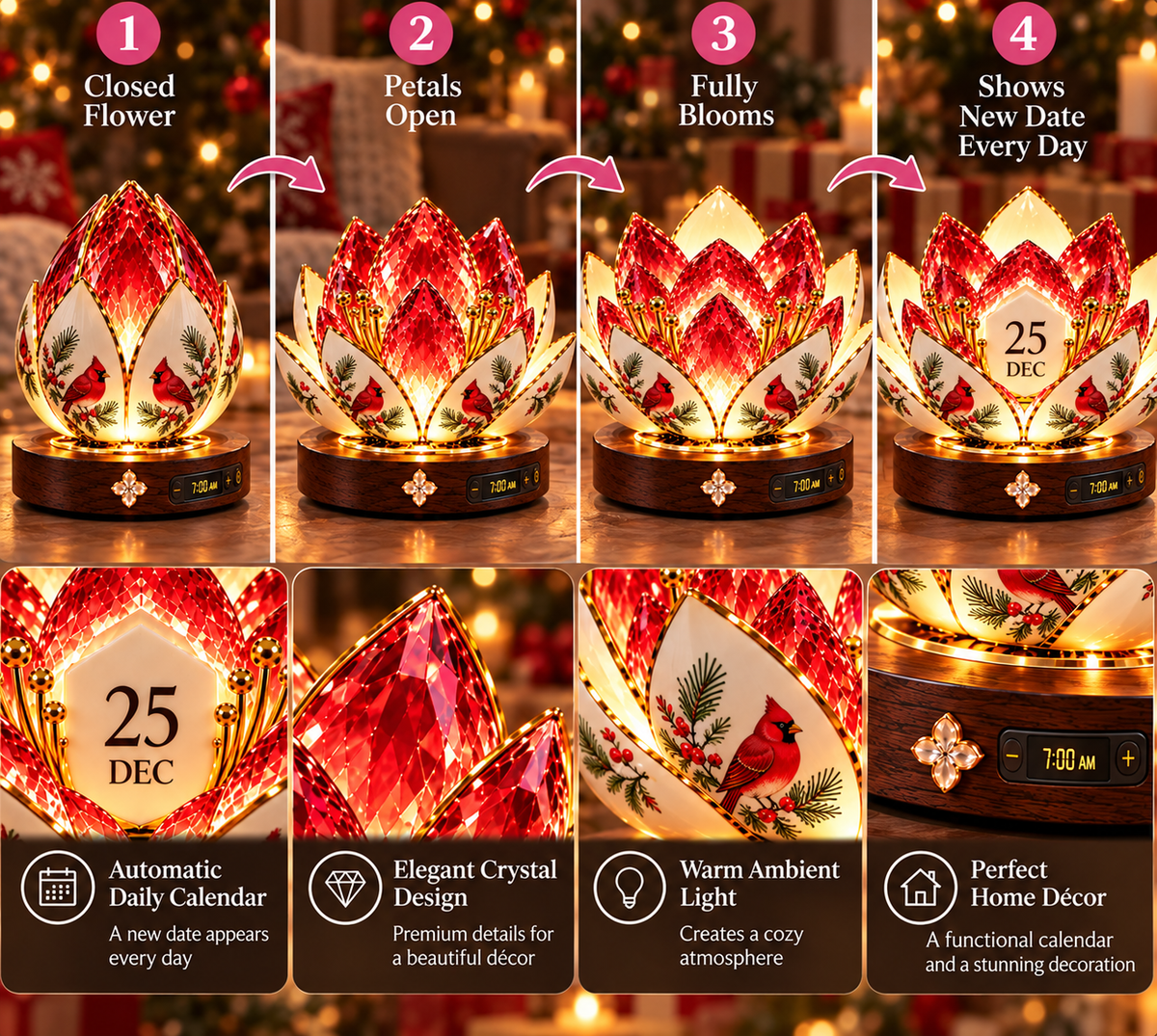 🎄 Christmas Blooming Calendar – A Little Holiday Magic, Every Day