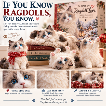 💙 24 Days of Ragdoll Love — Meet 24 Adorable Fluffy Friends, One Day at a Time