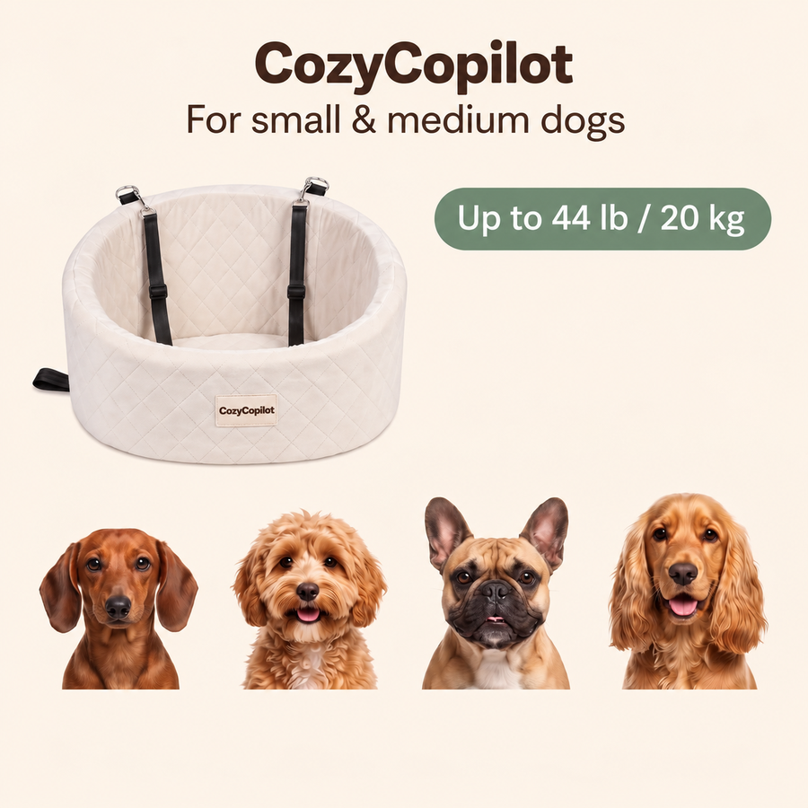 Dog seat recommended for small and medium dogs up to 44 lb