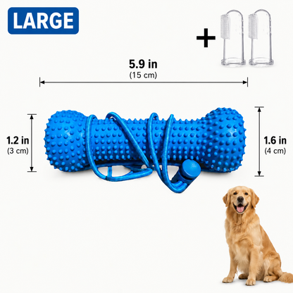 🐶 2-in-1 Dog Dental Chew Toy & Brushing Helper – Easier Daily Teeth Cleaning