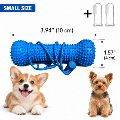 🐶 2-in-1 Dog Dental Chew Toy & Brushing Helper – Easier Daily Teeth Cleaning