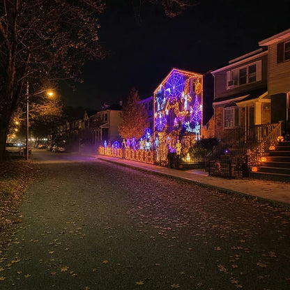🎄Christmas LED House Net & Smart Outdoor Wall Curtain Light🎅