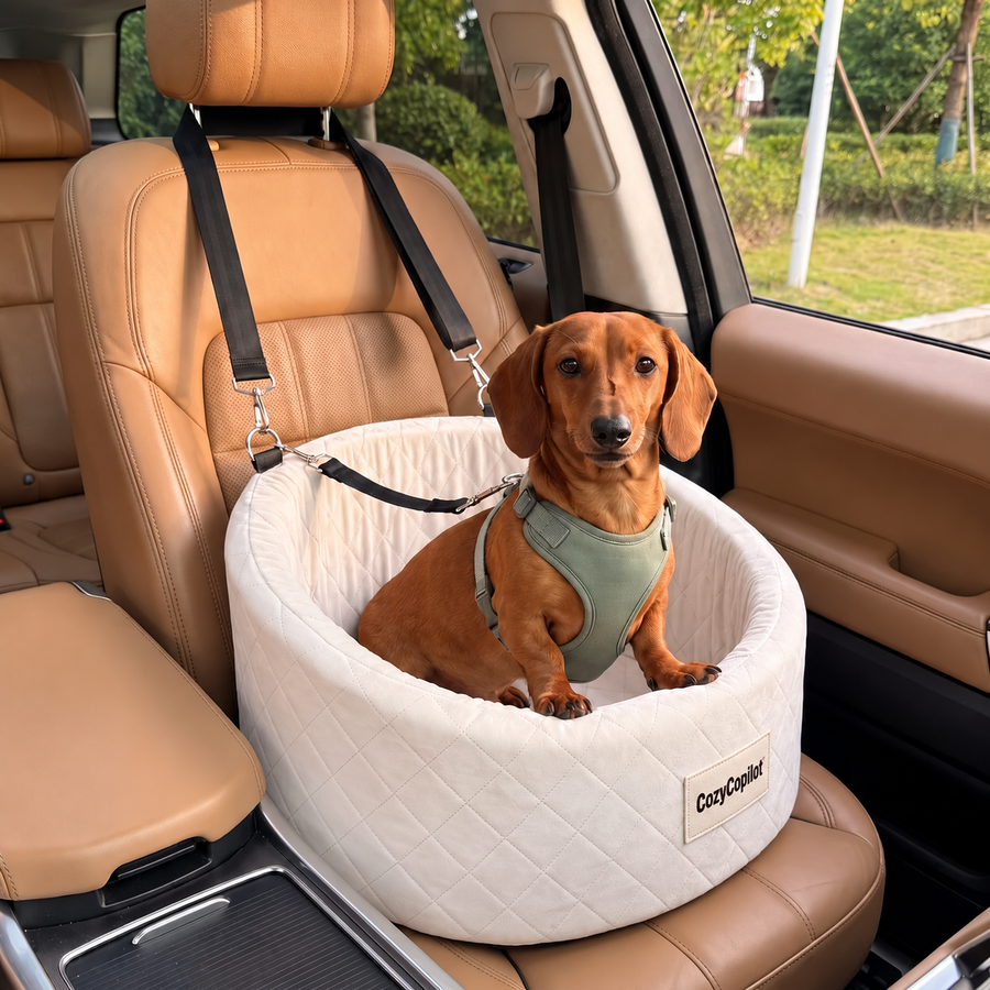 Dog relaxing in elevated quilted car seat