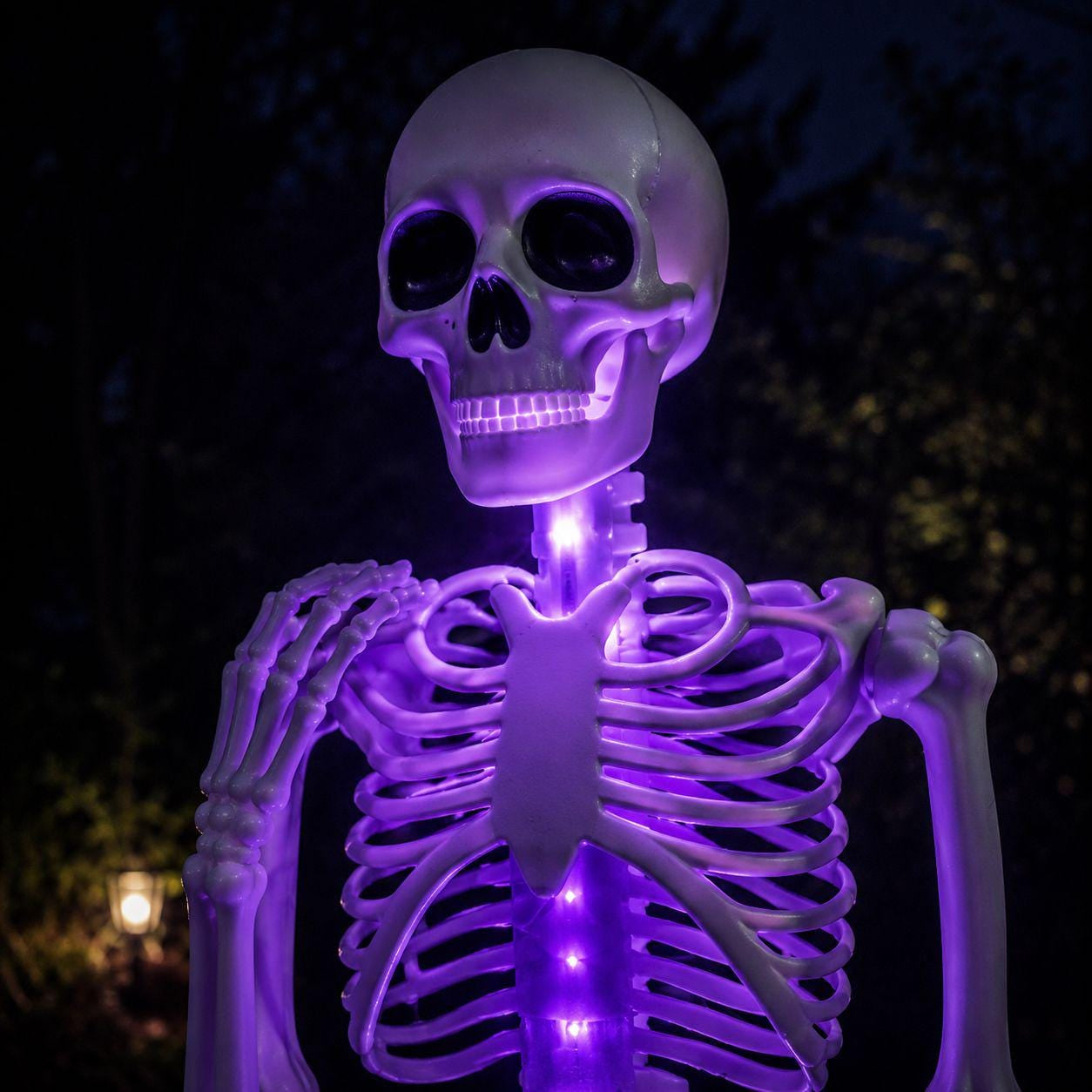 Turn Your Yard Into A Spooky Halloween Scene After Dark 🎃