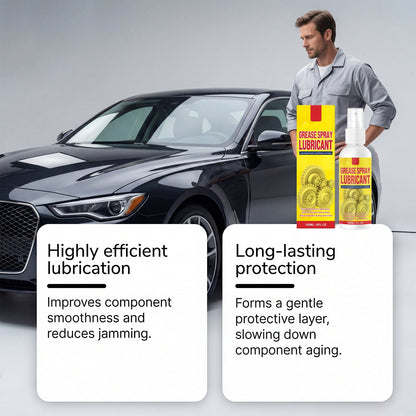 Anti-Rust Lubricant Spray & Rust Remover