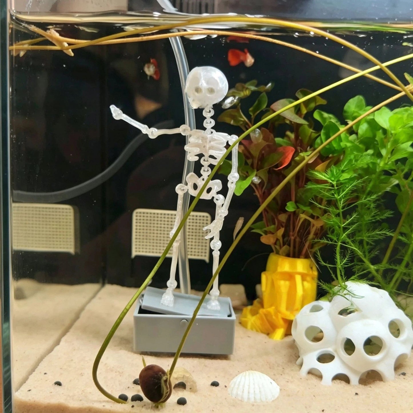 Dancing skeleton underwater