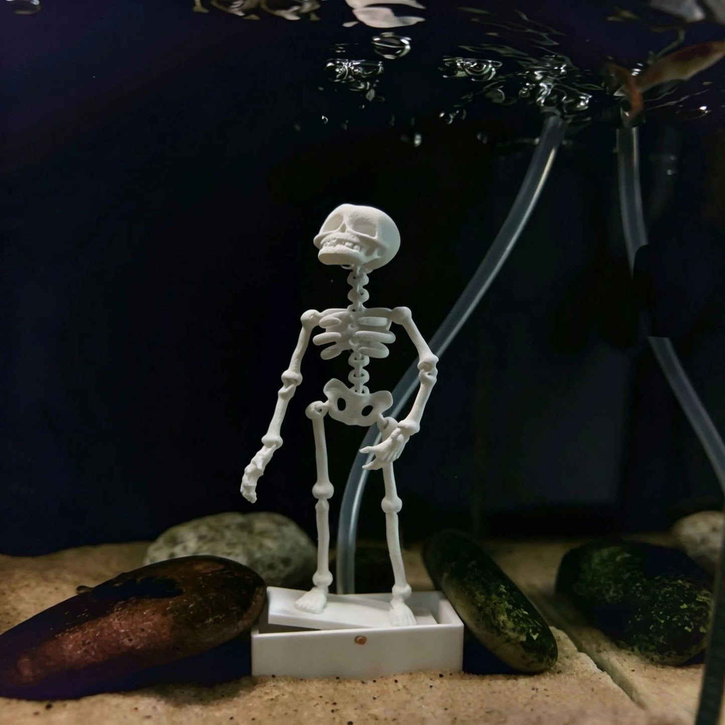 Dancing skeleton underwater