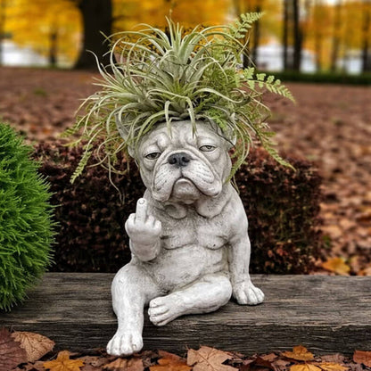 The Grumpiest Planter You’ll Ever Love 😤🐶