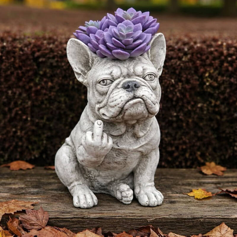 The Grumpiest Planter You’ll Ever Love 😤🐶