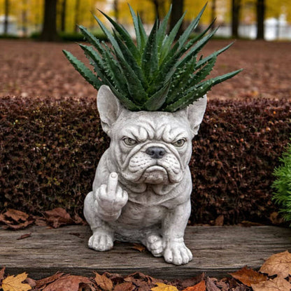 The Grumpiest Planter You’ll Ever Love 😤🐶