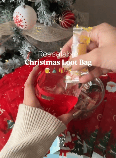 🎄Christmas Treat Bags, Kids Xmas Sealable Bags With Handle 10 PCS❄️