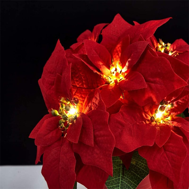 🎄 Christmas Poinsettia LED Garland String Lights