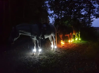🐎 Horse LED Leg Straps – 4 Pack | Rechargeable Night Riding Safety Lights | Adjustable Velcro Fit for Horses of All Sizes ✨
