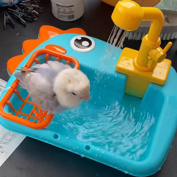 🐦 Automatic Circulating Bird Bath & Shower Station – Interactive Bathing & Play Center for Small Birds