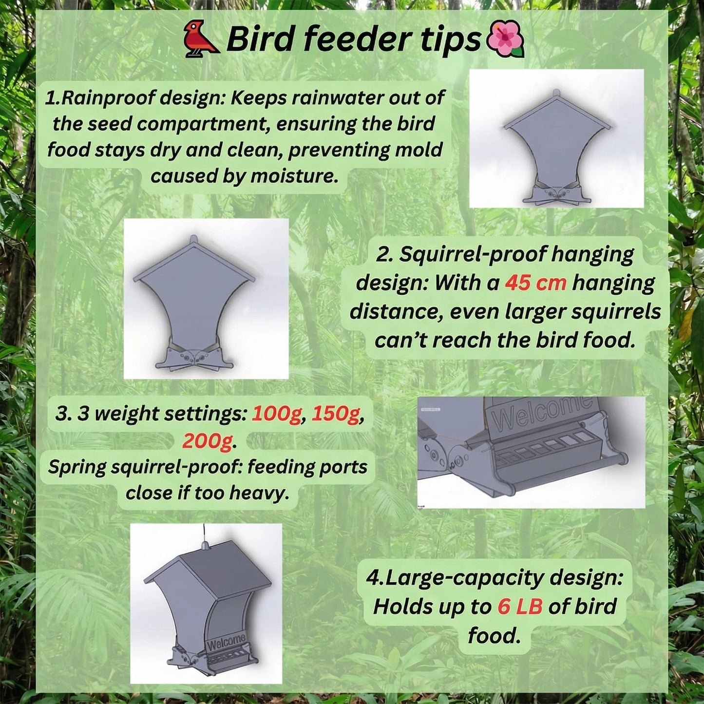 🐦 Squirrel Proof Bird Feeder – Outdoor Bird House for Garden Bird Watching & Yard Decoration