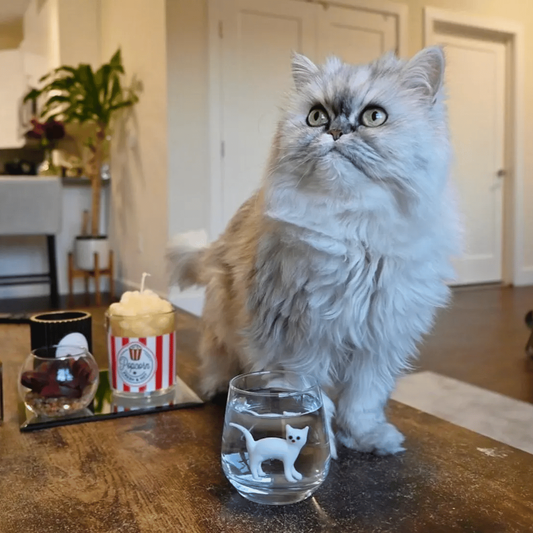 🐱 Handmade Glass Cat Wine Glass