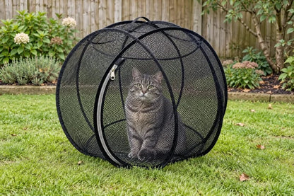 🐱360° Panoramic Pop-Up Rolling Cat Playpen Ball🐾