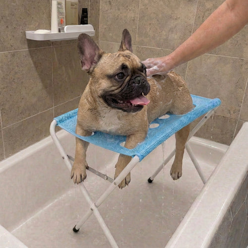 Stop Fighting Your Dog During Bath Time — Make Grooming Calm, Safe & Stress-Free 🐾