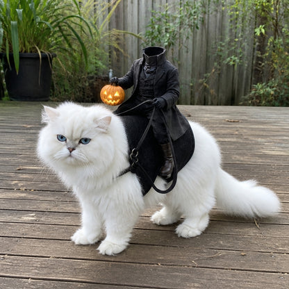 Your Pet Is About to Steal Halloween 🎃🐾 — Turn Your Cat or Dog Into a Tiny Midnight Rider