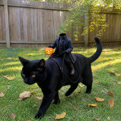 Your Pet Is About to Steal Halloween 🎃🐾 — Turn Your Cat or Dog Into a Tiny Midnight Rider