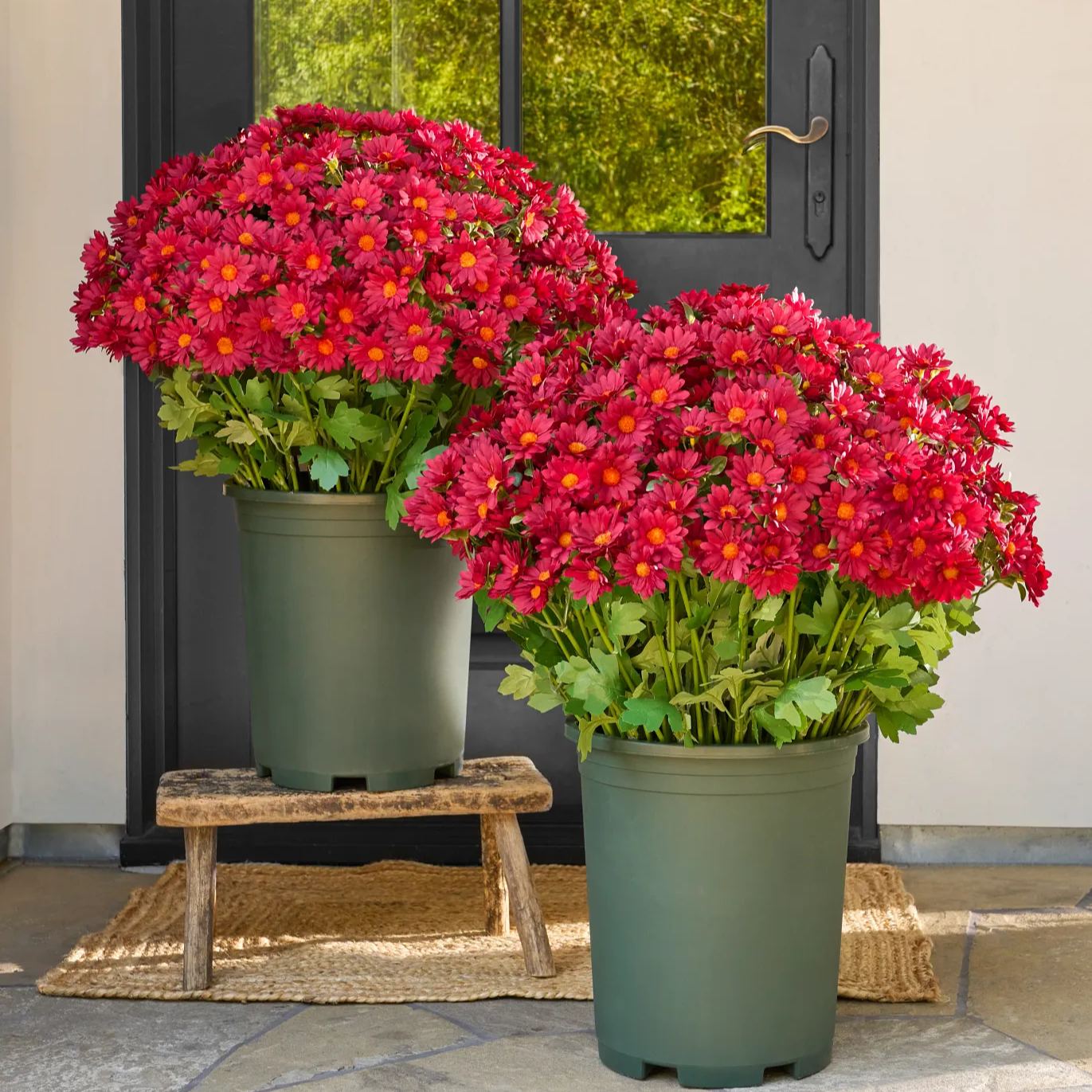 Artificial Outdoor Sunset Mums Flowers - UV resistant, Waterproof, Windproof