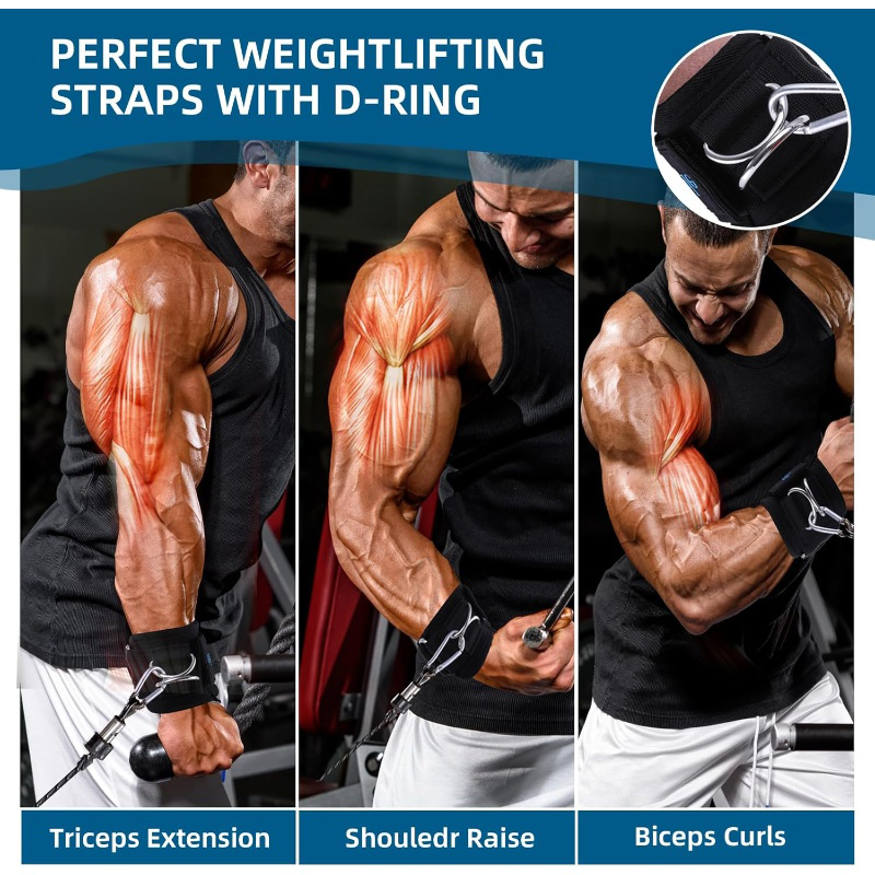 Premium Classic & D-Ring Lifting Straps for Maximum Heavy Pulls