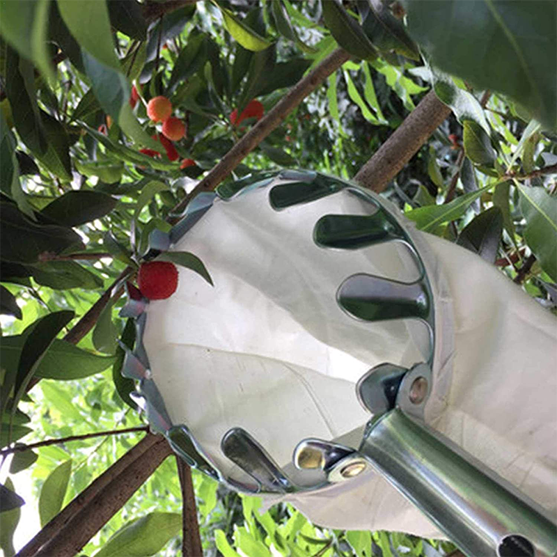 Fruit Picker with Collection Basket – product image
